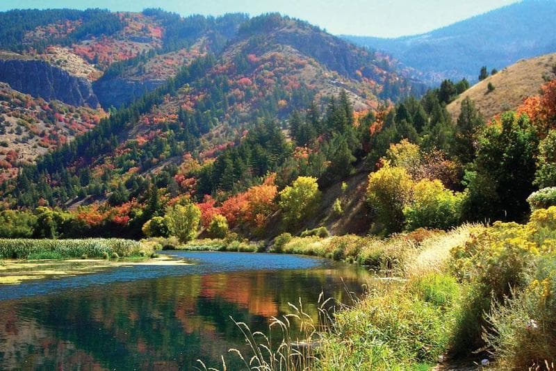 Cache Valley canyon water and fall color near Logan, Utah.